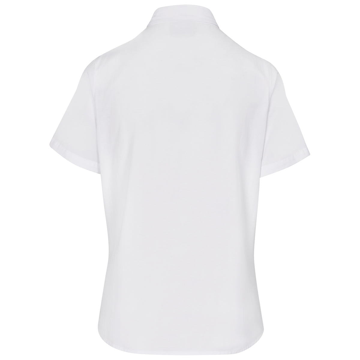 Ladies Short Sleeve Oxford Shirt