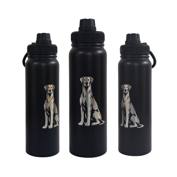 Stainless Steel Water Bottle - 750ml - Great Dane