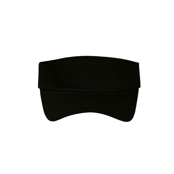 Sun Visor