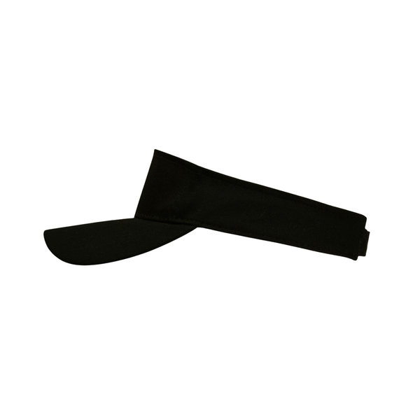 Sun Visor