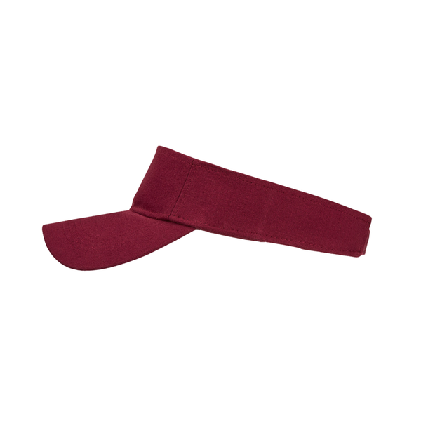 Sun Visor