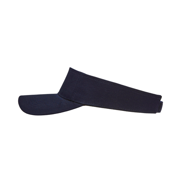 Sun Visor