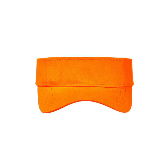 Sun Visor