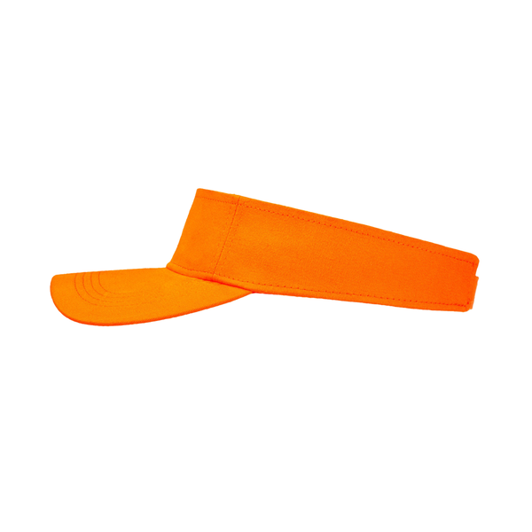 Sun Visor