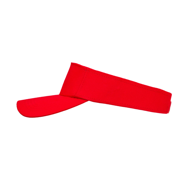 Sun Visor