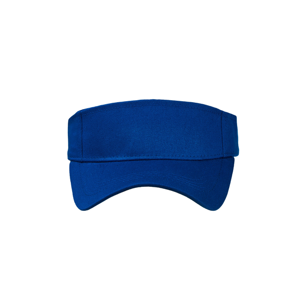 Sun Visor