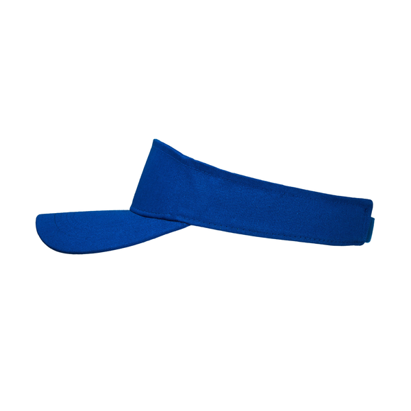 Sun Visor