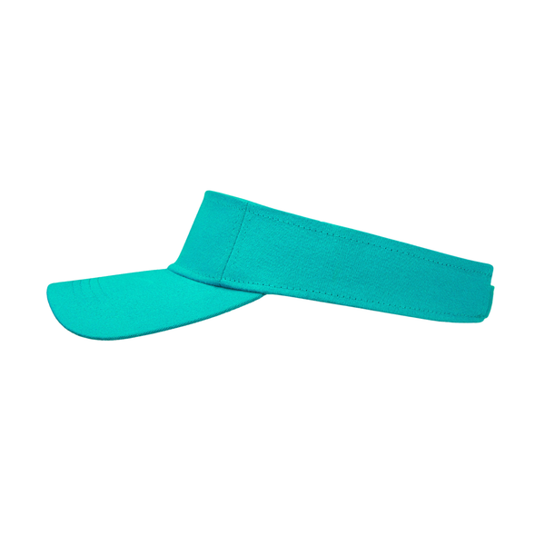 Sun Visor