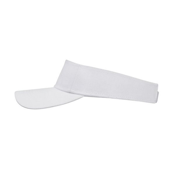 Sun Visor