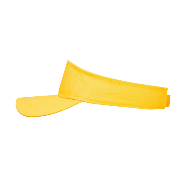 Sun Visor